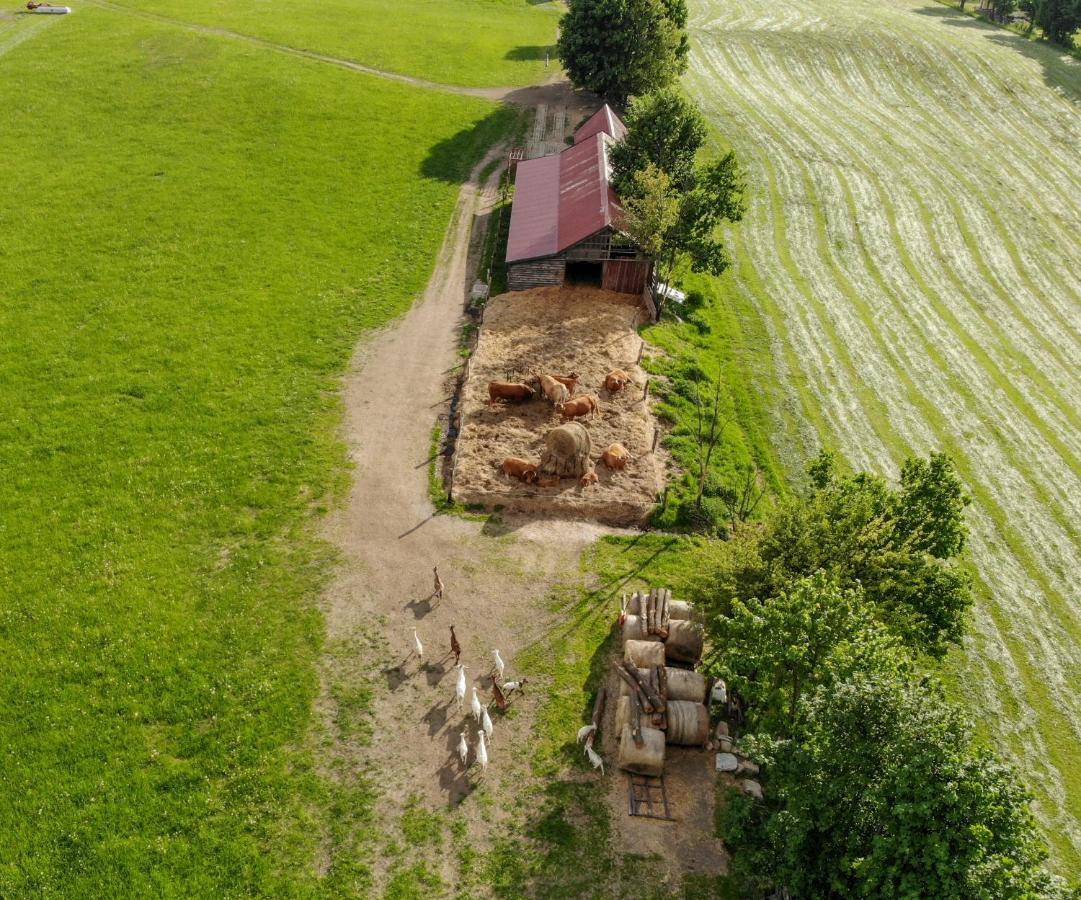 Villa Dylewianka Wysoka Wieś Esterno foto