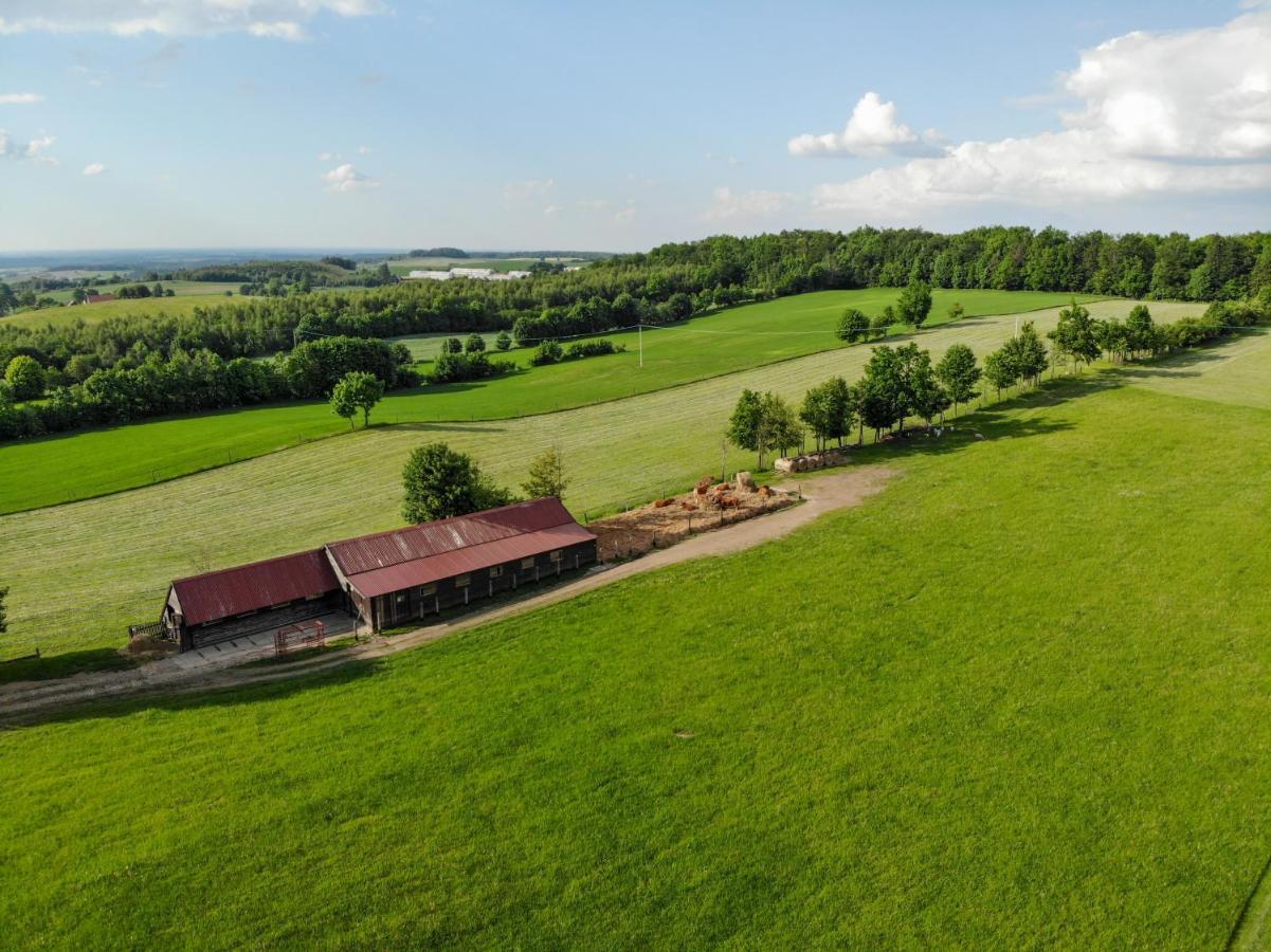 Villa Dylewianka Wysoka Wieś Esterno foto