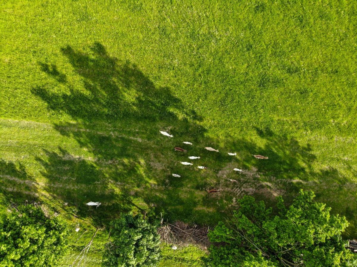 Villa Dylewianka Wysoka Wieś Esterno foto