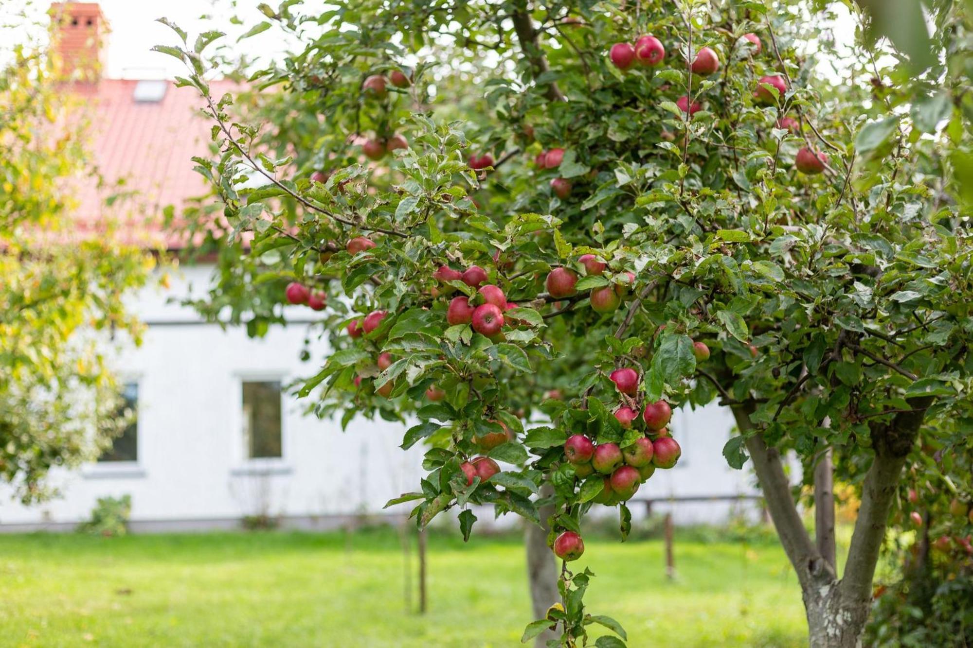 Villa Dylewianka Wysoka Wieś Esterno foto