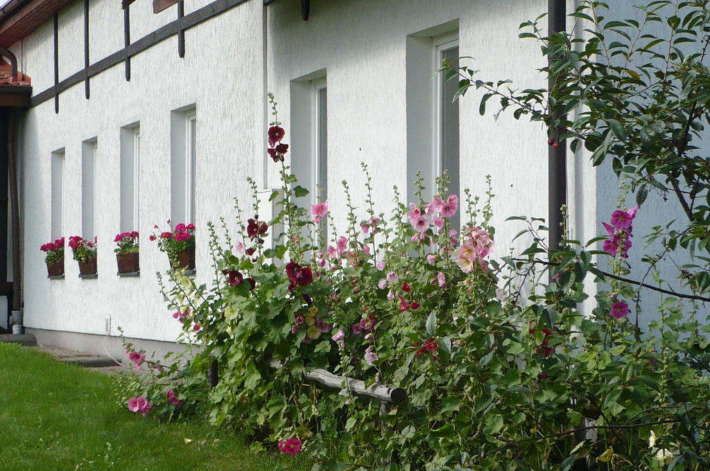 Villa Dylewianka Wysoka Wieś Esterno foto