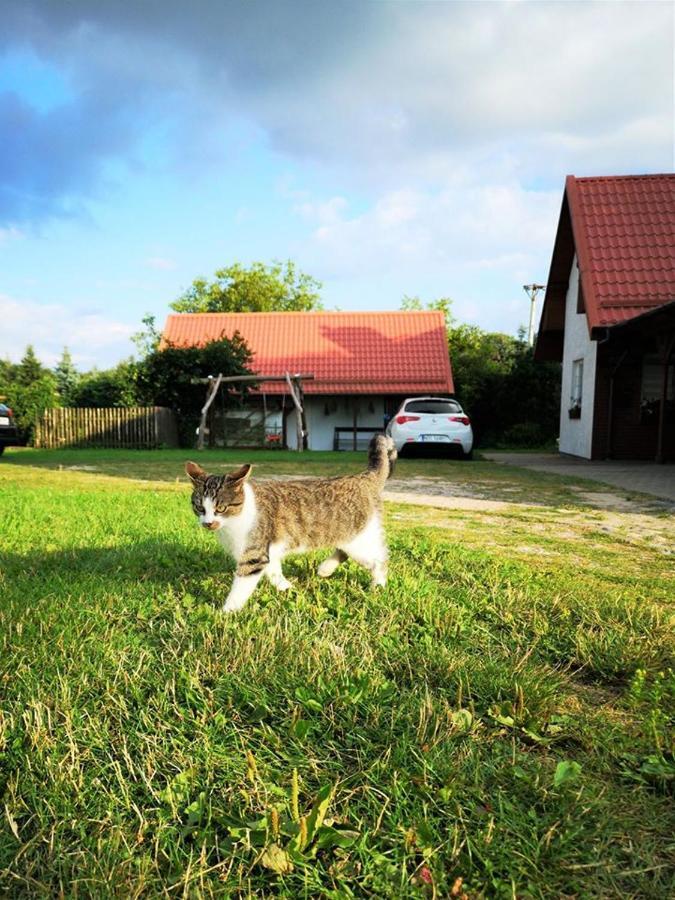 Villa Dylewianka Wysoka Wieś Esterno foto